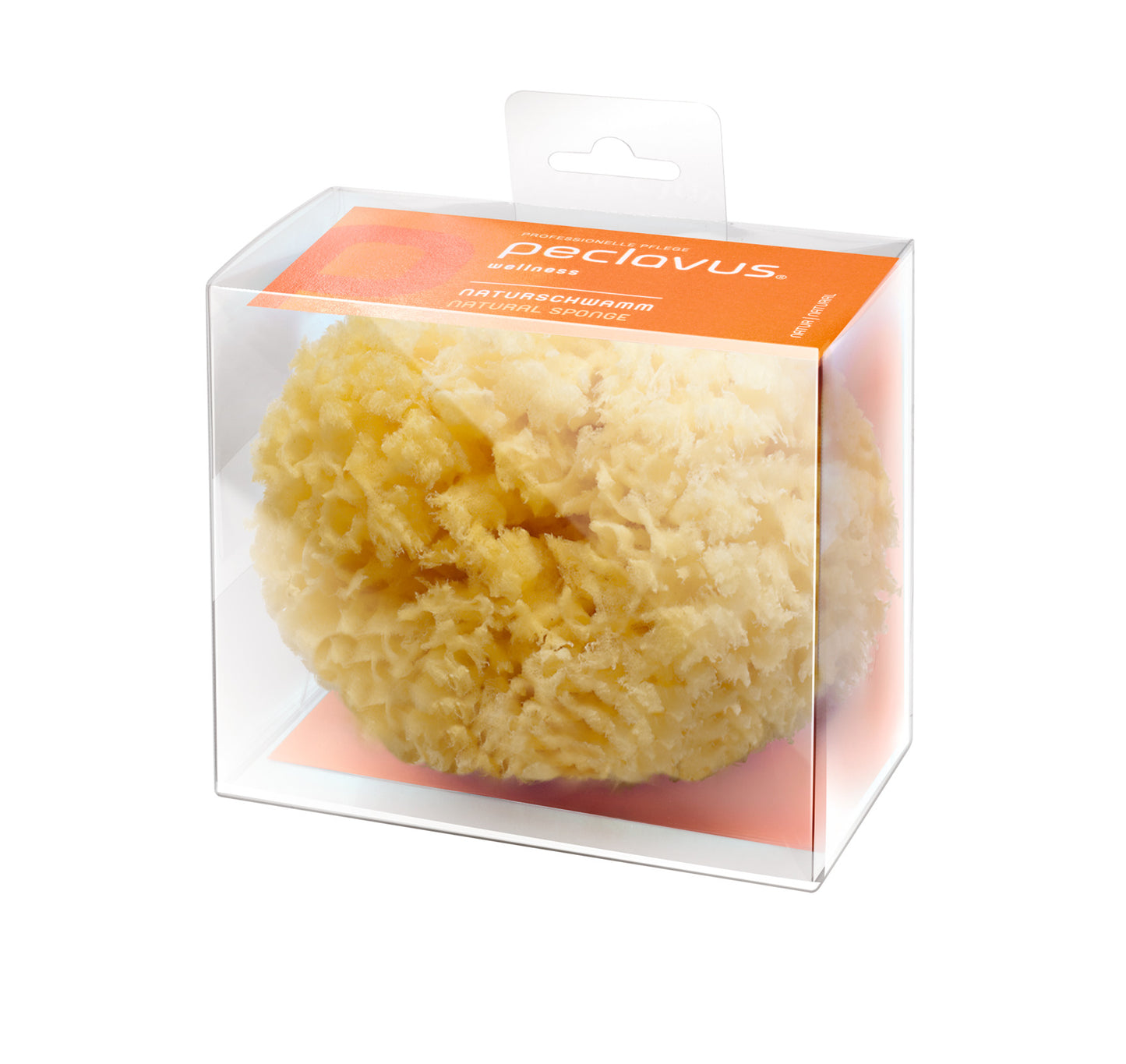 Eponge naturelle - Peclavus - Ruck