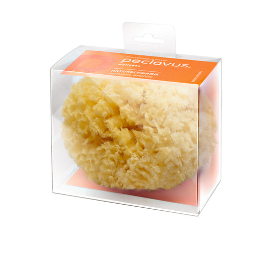 Eponge naturelle - Peclavus - Ruck